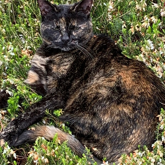 Meet your Posher - Picture 13 of 13